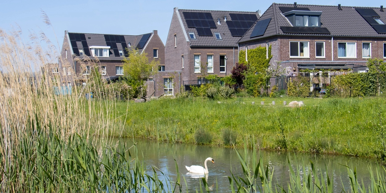 Water in Parijsch Culemborg