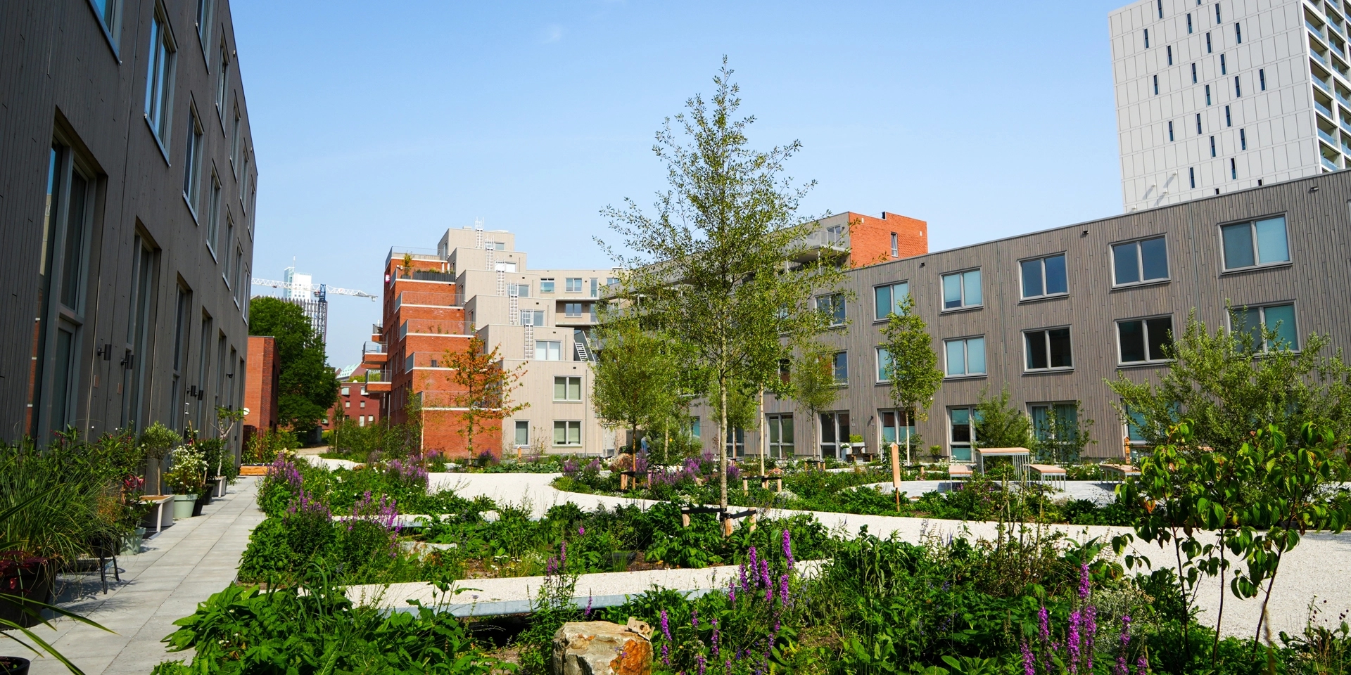 Binnentuin De Kuil met achteraan de terrasappartementen