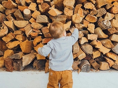 6 mythes over houtbouw ontkracht