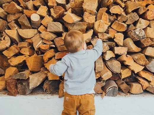 6 mythes over houtbouw ontkracht