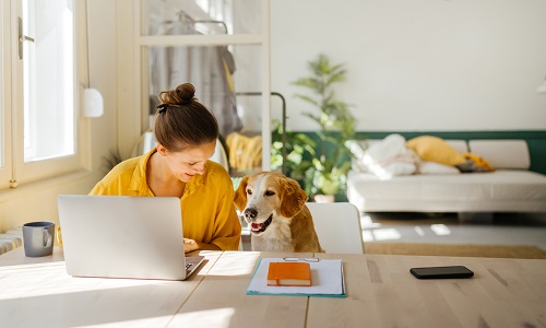 Vrouw op laptop met hond naast zich