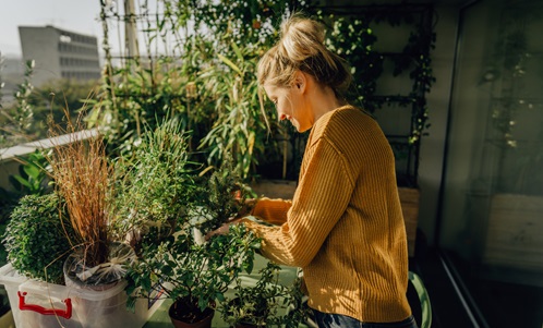 Vrouw verzorgt de planten op haar balkon